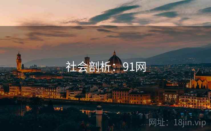 社会剖析:91网 第2张 社会剖析:91网 第2张