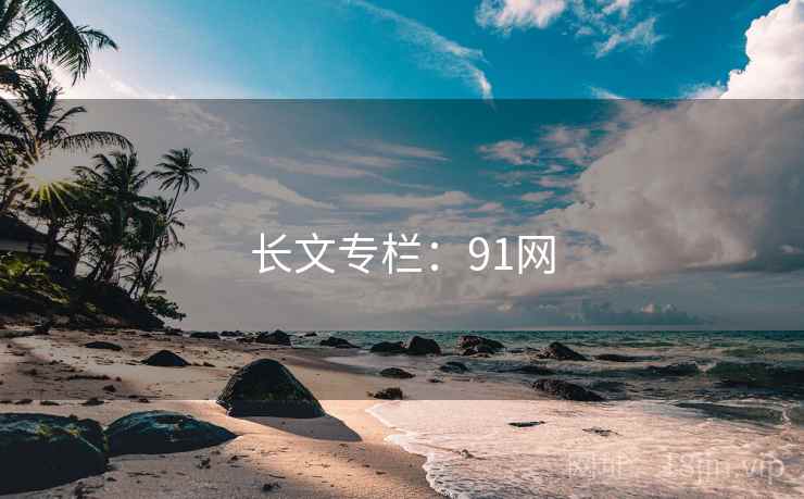 长文专栏：91网