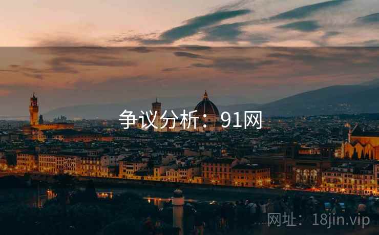 争议分析：91网