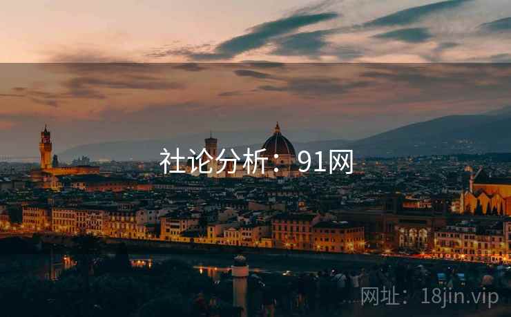 社论分析：91网