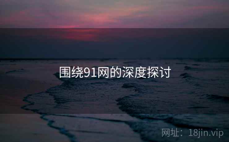 围绕91网的深度探讨