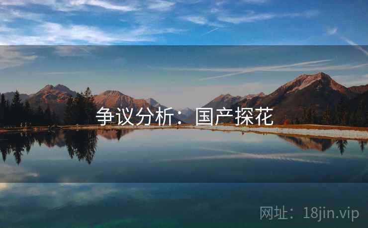 争议分析：国产探花