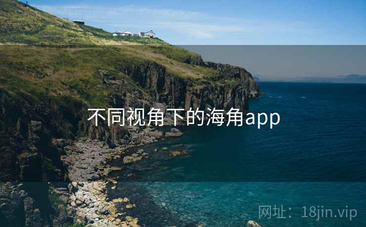不同视角下的海角app