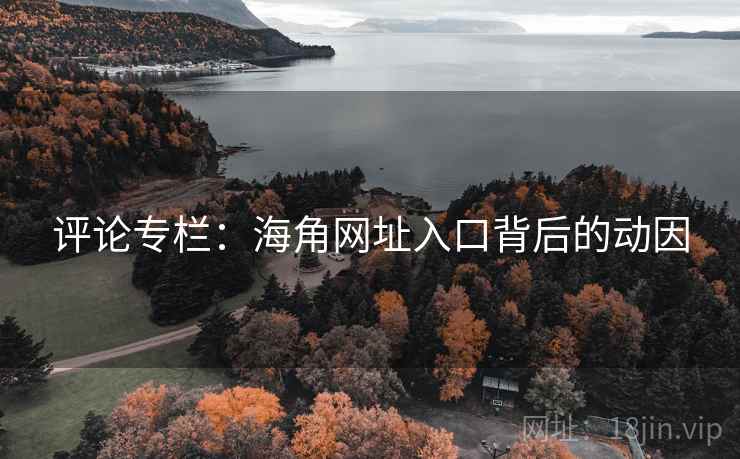 评论专栏：海角网址入口背后的动因