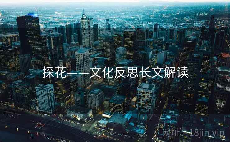 探花——文化反思长文解读