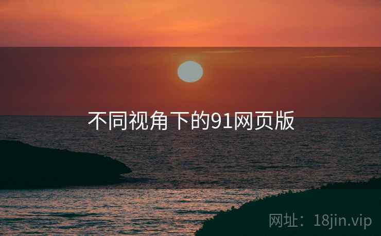 不同视角下的91网页版