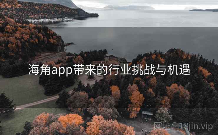 海角app带来的行业挑战与机遇