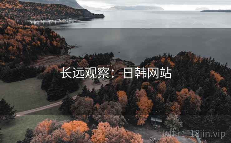 长远观察:日韩网站
