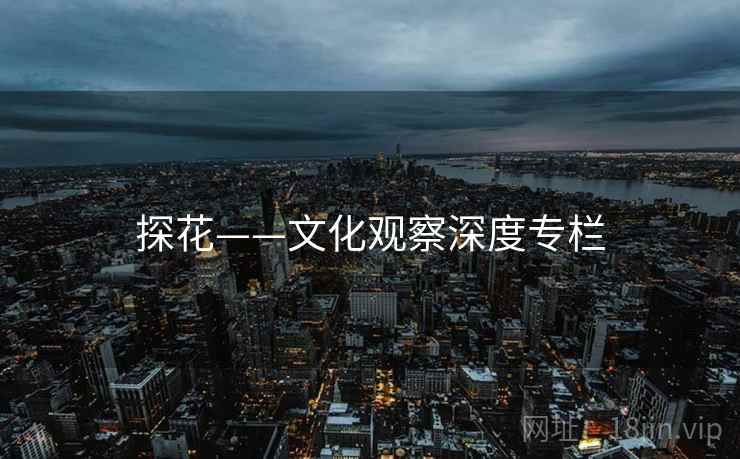 探花——文化观察深度专栏  第2张