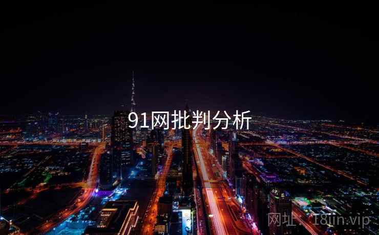 91网批判分析