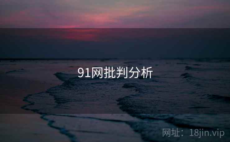 91网批判分析
