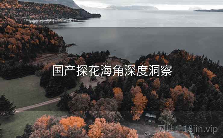 国产探花海角深度洞察