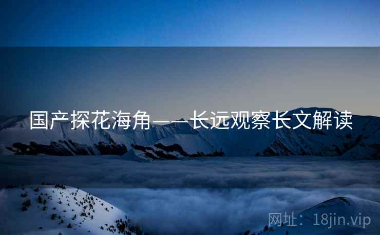 国产探花海角——长远观察长文解读