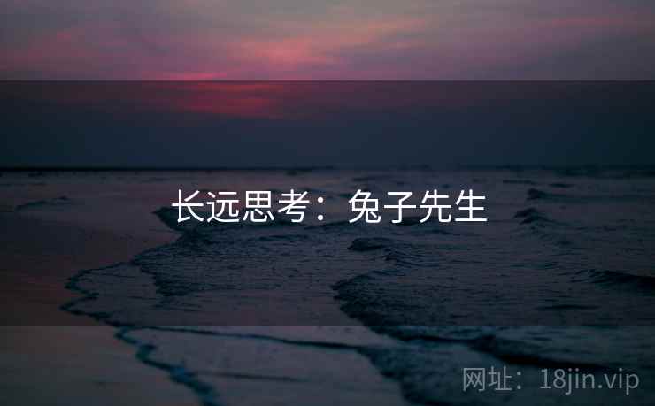 长远思考:兔子先生